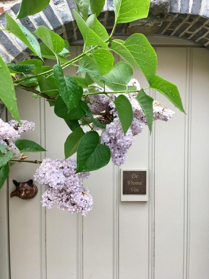 B&B De Vrome Vos Mechelen Exterior foto